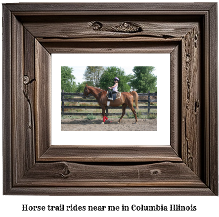 horse trail rides near me in Columbia, Illinois